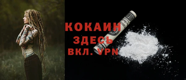 мдпв Домодедово