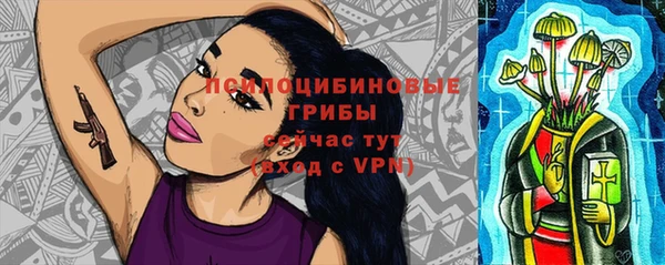 мдпв Домодедово