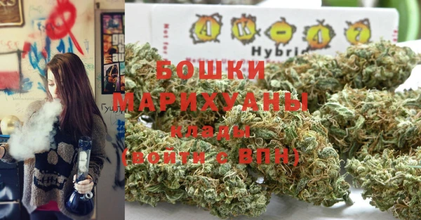 мдпв Домодедово