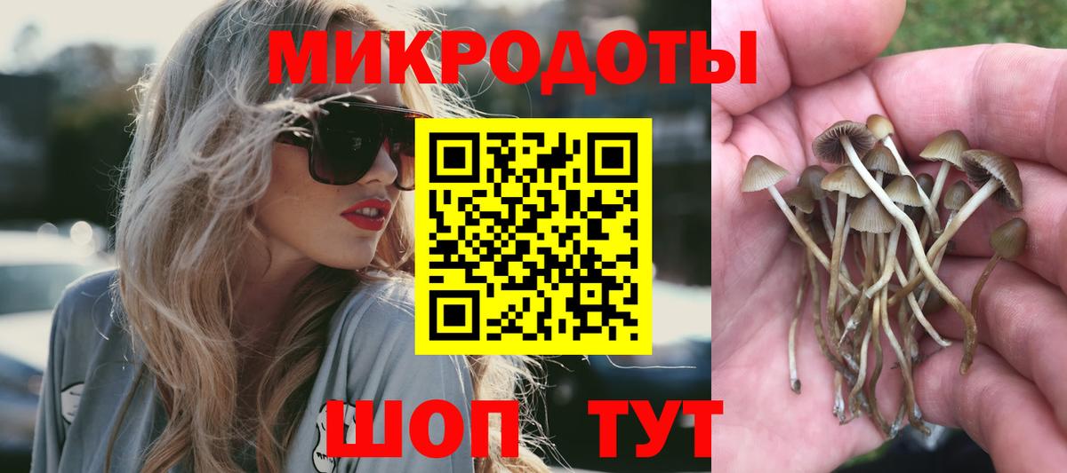 Псилоцибиновые грибы Cubensis Борзя